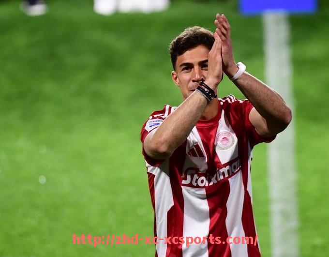 杏彩体育-世俱杯比赛环境标准设定及场馆适应性评估方法